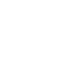 Logo Branco